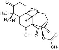 Glaucocalyxin B